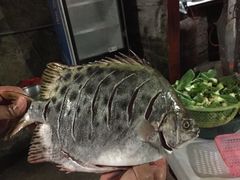 -三姐妹平价海鲜