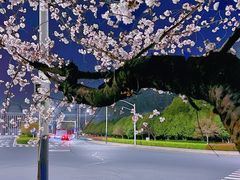 -常州大剧院保利影城