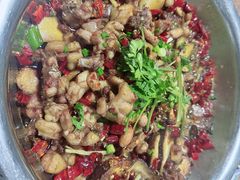 -食神又名厕所兔