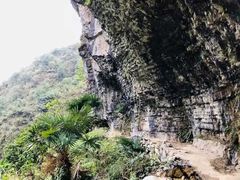 -鹿院坪生态旅游景区