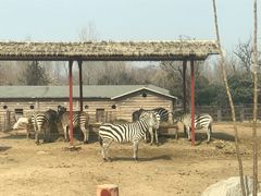 -西安秦岭野生动物园