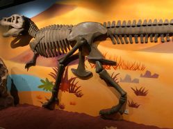 -北京科学中心儿童乐园