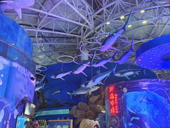 -烟台海昌鲸鲨海洋公园