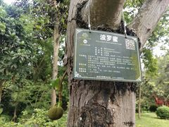 -广西壮族自治区药用植物园