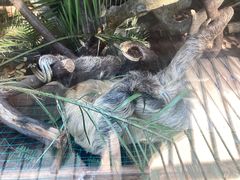 -云南野生动物园