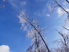 -中旅松花湖滑雪场