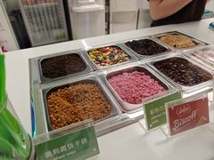 -Salud撒露欧洲冻酸奶(五道口购物中心店)