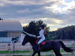 -月河湾马术俱乐部(朝阳店)
