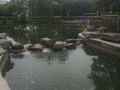 -黄村公园