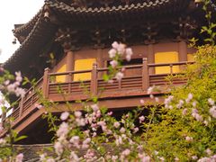 -慧因高丽寺