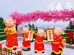 游乐设施-景山公园
