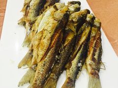-御唐府海珊瑚主题餐厅