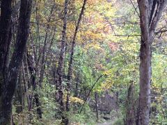 -叠溪松坪沟景区