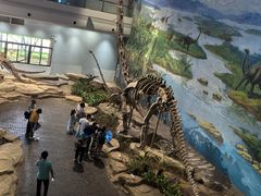 -自贡恐龙博物馆