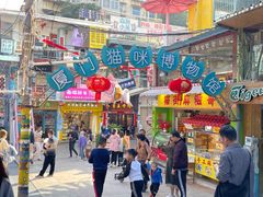 -猫咪博物馆(顶澳仔猫街店)