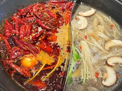 -朱光玉火锅馆(正弘城店)