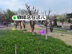 -小意思咖啡店(草桥店)