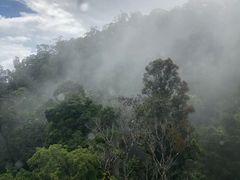 -热带雨林自然公园