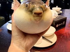 -永安鱼庄·镇江菜(东吴路店)