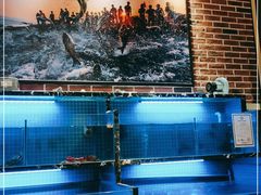 水产区-姜君·千岛湖鱼头馆(浦东大道店)