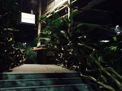 -龙达温泉生态城