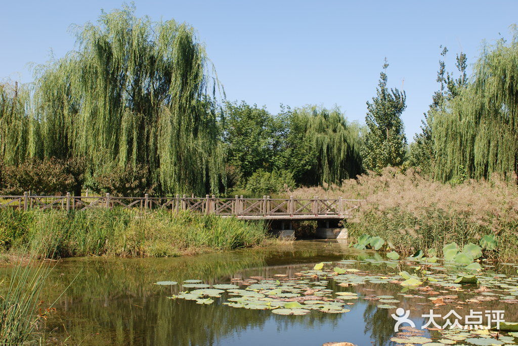 大運河森林公園