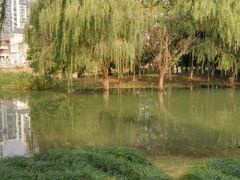 -白塘生态植物园