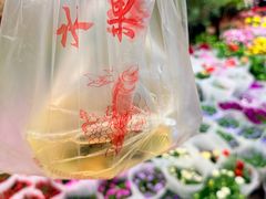 -双季花艺园艺市场(浦东店)