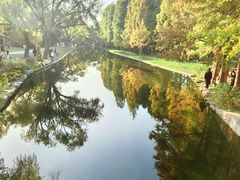 -上海共青森林公园