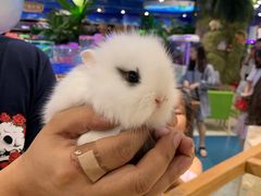 -龟与熊猫宠物公园(南坪店)