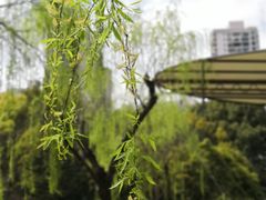 -苏州河梦清园环保主题公园