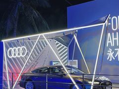 -欢乐海岸椰林沙滩-2025湾区超级灯会