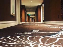 -拉斯维加斯永利酒店