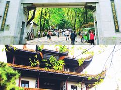 -岳麓山风景名胜区