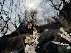 -广州市流溪河国家森林公园