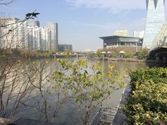 -运河游船(武林门码头)