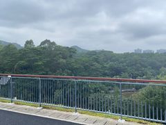 -阳台山森林公园