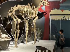 -厦门诚毅自然探索馆