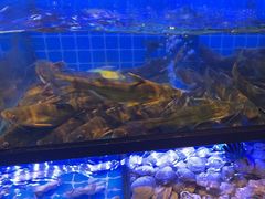 -透明思烤·自助烤肉海鲜火锅(东部星悦天地店)