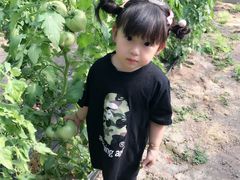 -万源龙顺度假庄园生态观光园