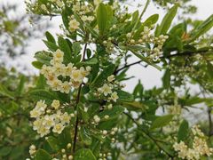 -重庆云阳龙缸景区