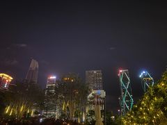 -深圳星河丽思卡尔顿酒店