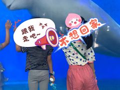 -泉城欧乐堡海洋极地世界