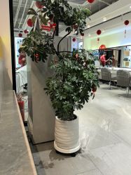 -LJOY丽锦造型·烫发染发