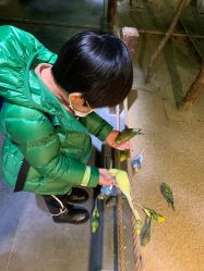 -酷嗒动物文化乐园(cutezoo西溪乐天城店)