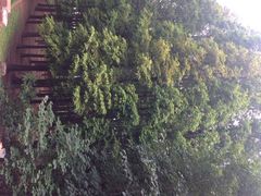 八大关景区-八大关景区