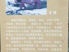 -1982农场