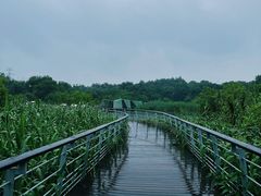 -西湖风景区-江洋畈生态公园
