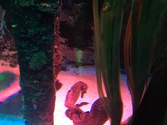 -沈阳海洋探索中心