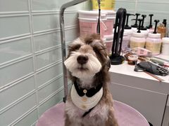 -FAELING PETS美天灵宠物(合生汇店)
